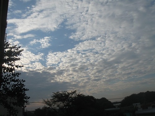東の空　雲間から朝日が.jpg